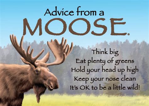 Advice from a Moose Jumbo Magnet – Your True Nature, Inc.