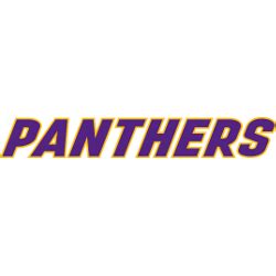 Northern Iowa Panthers Wordmark Logo | SPORTS LOGO HISTORY