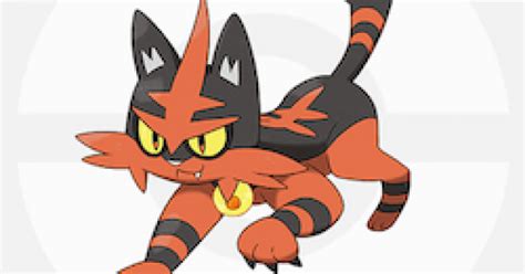 Torracat - Evolution & Weakness | Pokemon Sword Shield - GameWith