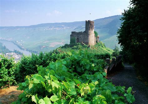 Landshut Castle In Bernkastel-kues Photograph by Panoramic Images - Fine Art America