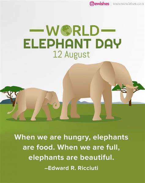 World Elephant Day 2023: Top Quotes and Wishes - We Wishes