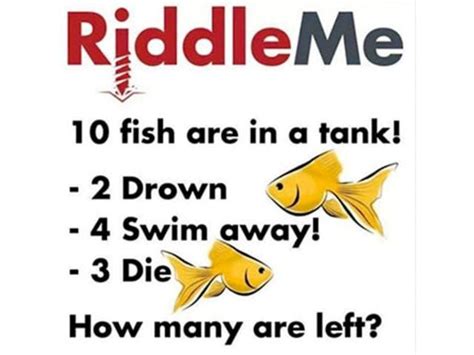 12 Impossibly Difficult Riddles That Will Confuse You! | Riddles, Math ...