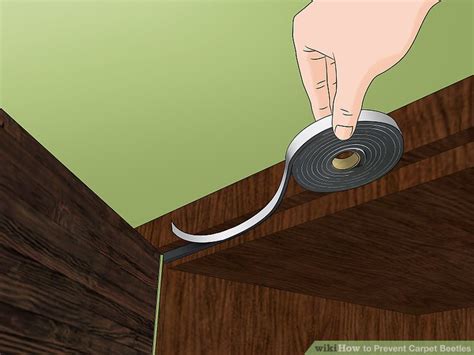 3 Ways to Prevent Carpet Beetles - wikiHow