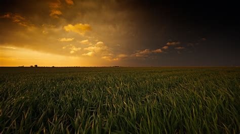 4K Field Wallpapers - Top Free 4K Field Backgrounds - WallpaperAccess