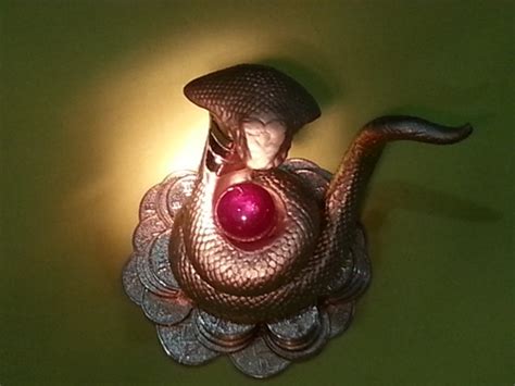 Nagmani - Benefits of Cobra Pearl | Aghori Baba ji indian Famous Astrologer | Online Vashikaran ...