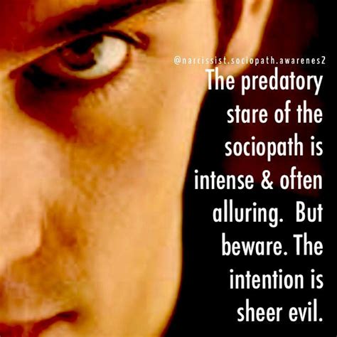 They have a predatory stare you have to be very careful of those individuals who upon meeting ...