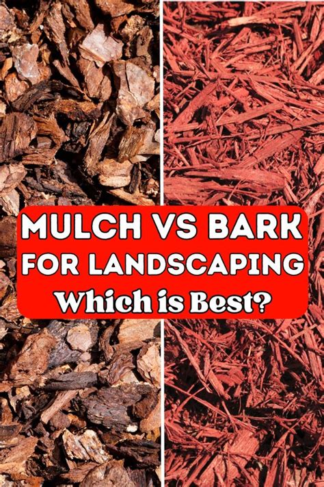 Mulch Vs Bark For Landscaping: Pros and Cons in 2024 | Mulch alternatives, Mulch, Tree mulch