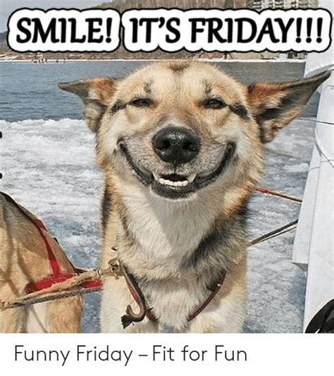 🐣 25+ Best Memes About Happy Friday Funny Meme | Happy Friday Funny ...