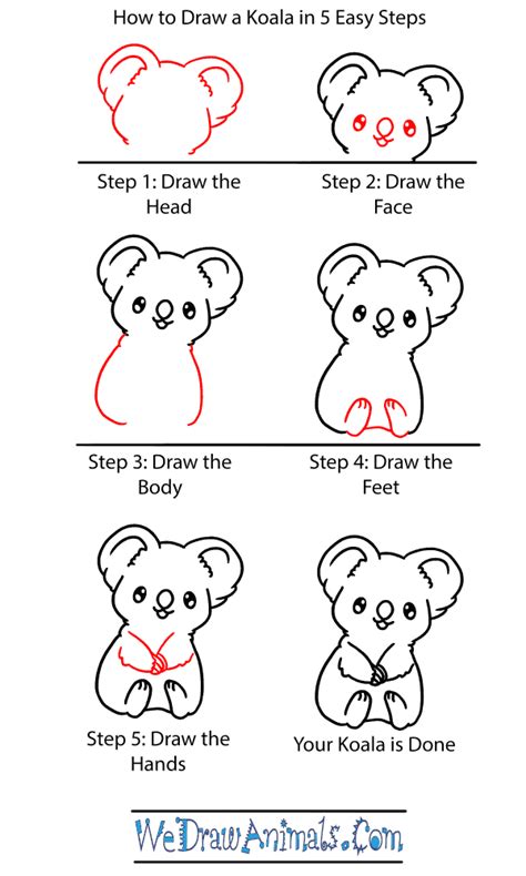 How to Draw a Baby Koala