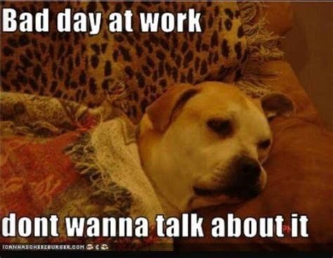 a dog laying on top of a couch with the caption bad day at work don't wanna talk about it