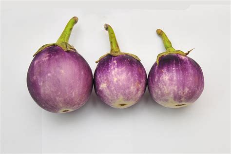 Photo of vegetable: Solanum melongena - GlobinMed