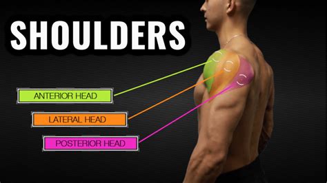 Shoulder Workout Routine (4 Exercises For Bigger Delts) | Bigger Gains