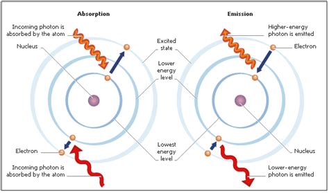 An electron changes from an n = 2 to an n = 6 energy state. What is the energy of the photon in ...