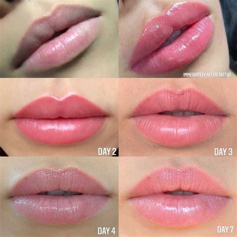 Gloss And Go Lips Before After | Lipstutorial.org