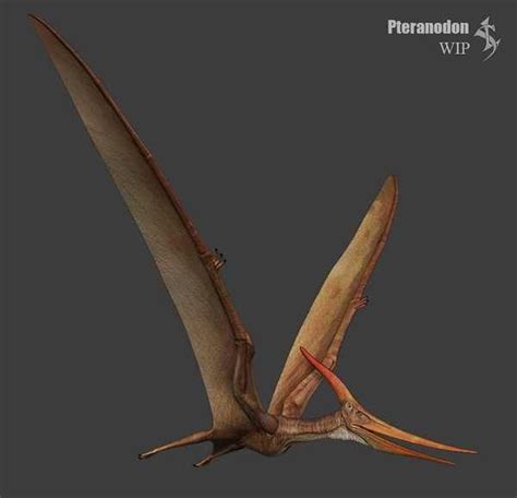 Pteranodon | Prehistoric animals, Prehistoric wildlife, Prehistoric ...