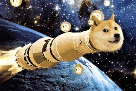 These Dogecoin Memes Are Going Straight To The Moon - Dodgecoin | Memes