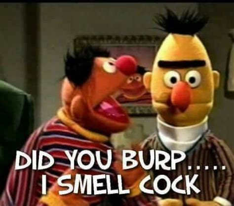 Burt and Ernie Funny Rude Memes, Dankest Memes, Funny Stuff, Jokes ...