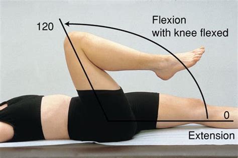 Goniometry: Hip Flexion - Physiopedia