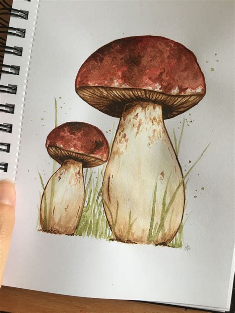 mushroomcore | Cottagecore art, Watercolor paintings easy, Mushroom art