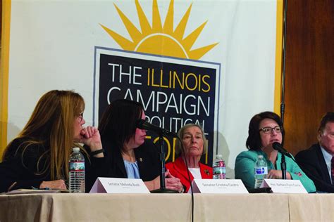 Four Illinois state senators and representatives discussed the need for ...