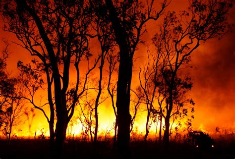 Mya Clicks: 8:30 PM Bush Fire and Backburning Meet in Far North Queensland. 3 hours of smoke and ...