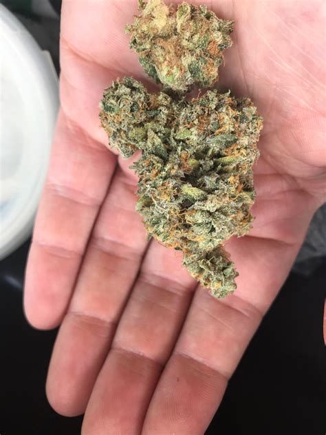 Elroy - Proper Cannabis. : MissouriMedical