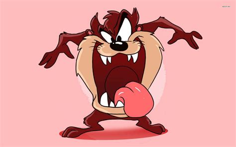 Tasmanian Devil Looney Tunes Wallpaper