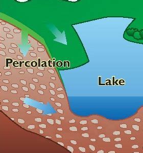 Percolation is the process of liquid slowly going through a filter. This is when water is ...