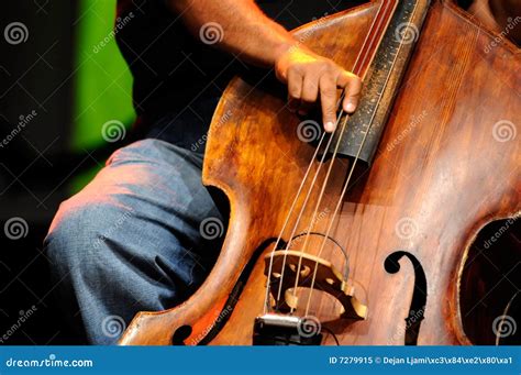 Jazz Double Bass Player - Guitar