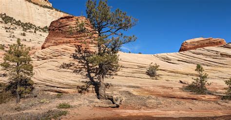 Mountains in Desert Landscape · Free Stock Photo