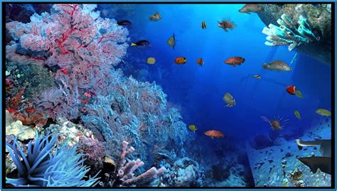 Live Aquarium Wallpapers for Windows 8.1 - WallpaperSafari