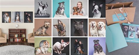 Studio Pet Photography for Dogs, Cats & other animals