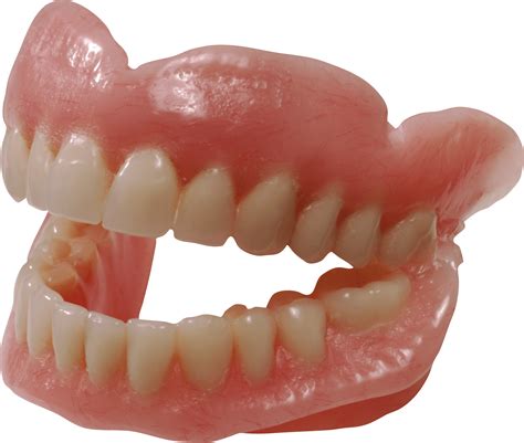 Teeth transparent PNG - StickPNG