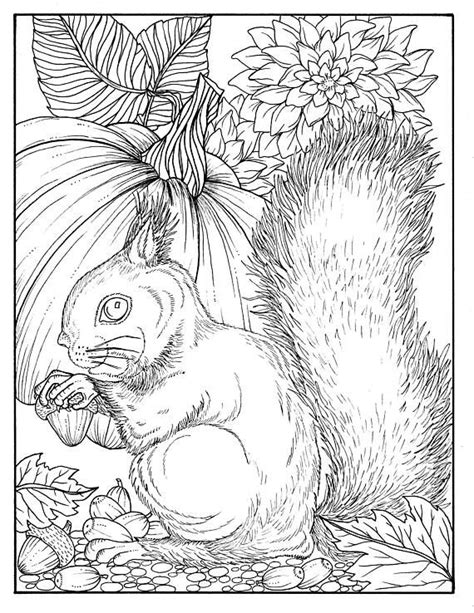 Fall Squirrel Digital Coloring Page Digi Stamp, Thanksgiving, adult ...