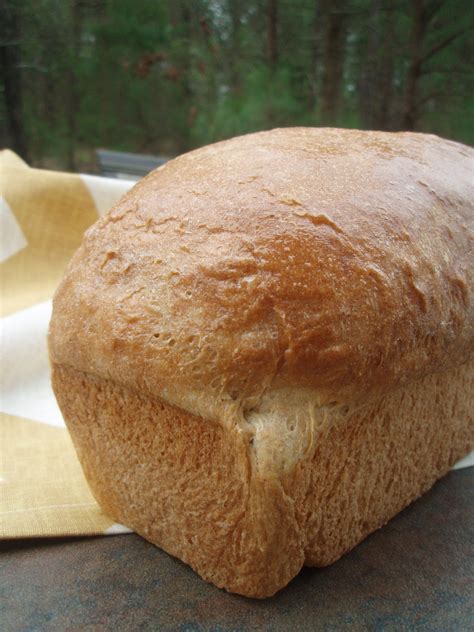 Wheat Bread Machine Recipe | Recipe | Bread machine recipes, Homemade bread, Real food recipes