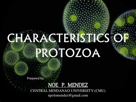 Characteristics of protozoa