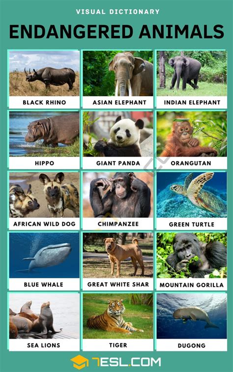 Endangered Animals Names in English • 7ESL