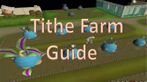 Tithe Farm Guide - 50k+ xp/hr - YouTube