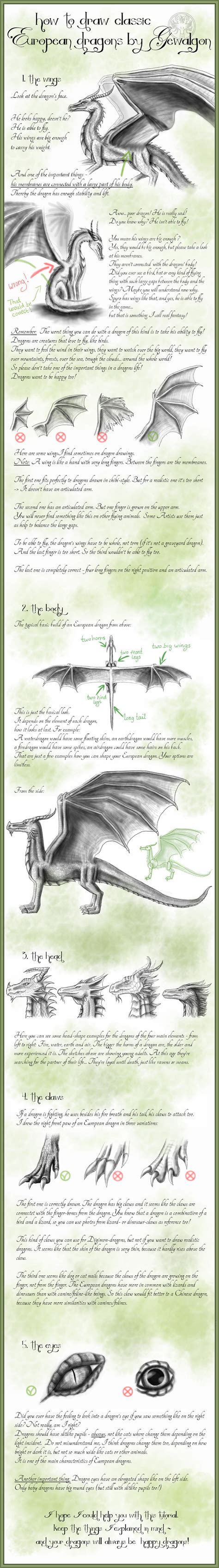 How to draw Classic European Dragons by Gewalgon by Gewalgon on DeviantArt