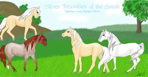 Silver Brumbies Of The South by TheSilver-BrumbyClub on DeviantArt