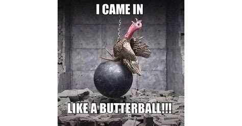 These 10 Turkey Memes are Perfect for Thanksgiving in 2020 | Funny ...