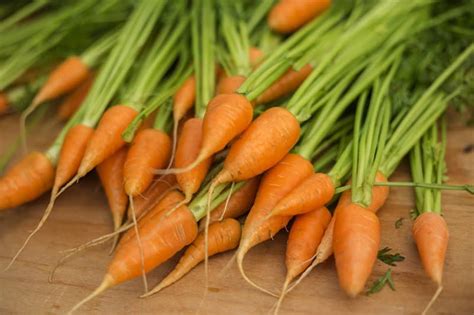 Growing Carrots: The Beginner's Guide to Raising the Perfect Carrots