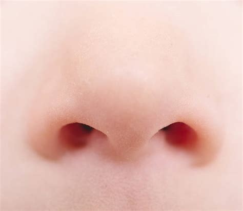 Best Human Nose Stock Photos, Pictures & Royalty-Free Images - iStock