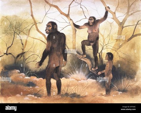 Australopithecus Africanus Map