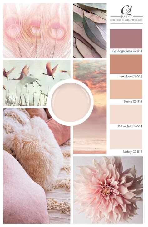 Mood Board: Blush | Mood boards