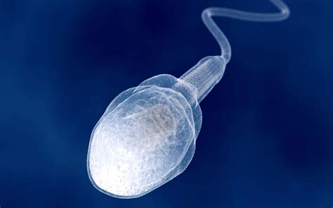 Giant 100 Million Year Old Sperm Cells Discovered – The Oldest Known Sperm Cells