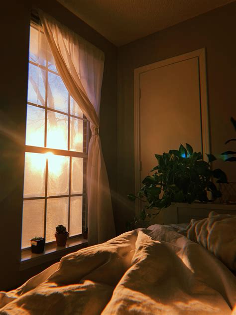 Sunrise in my east facing bedroom | Aesthetic window, Window aesthetic, Bedding aesthetic