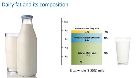 Dairy Fat: What's in it For The Consumer? - YouTube