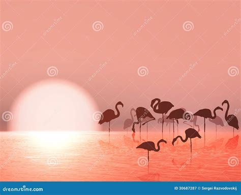 Flamingo Silhouette On Sunset, Vector. Scandinavian Minimalist Art Design | CartoonDealer.com ...