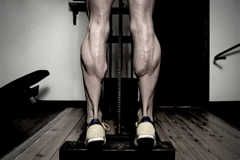 Calf Training 101 - The Muscle PhD